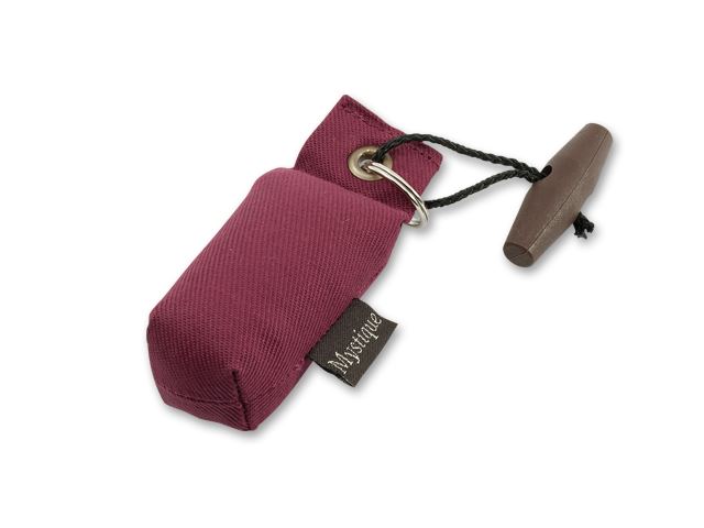 Mystique Mini Dummy Key case